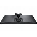 VESA Adapter für Samsung S24C350H